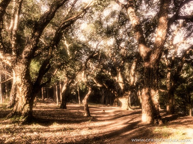 cds-2015-09-05 16.42.32-Edit-3